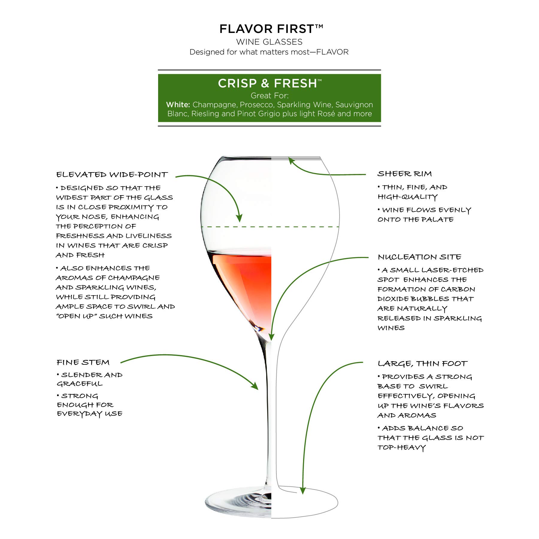 ONEIDA Flavor First, Crisp & Fresh, Set of 4, Crystal Wine Glasses by Karen MacNeil, Designed for Champagne, Rosé, and White Wines - Image 3